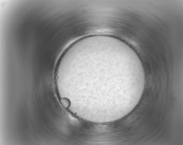 X0000068301470200605051920