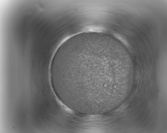 X0000068301471200605051920