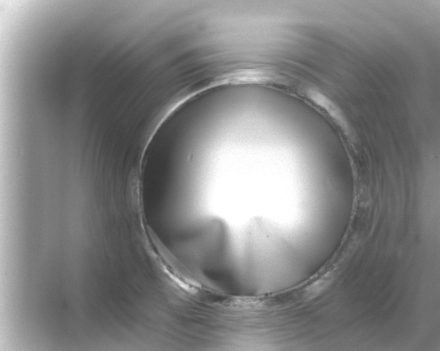 X0000068301473200605051920