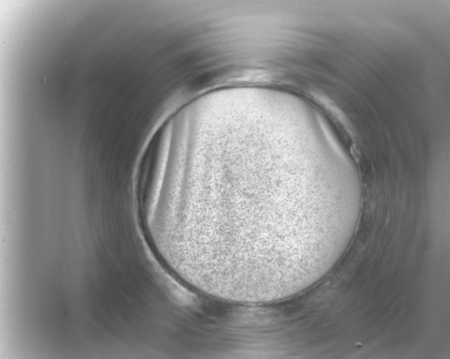 X0000068301475200605051920