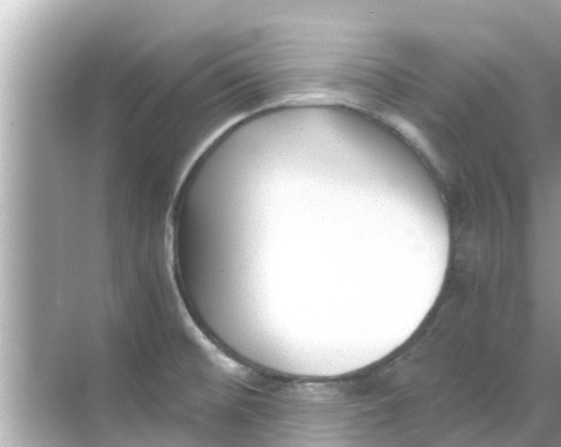 X0000068301476200605051920