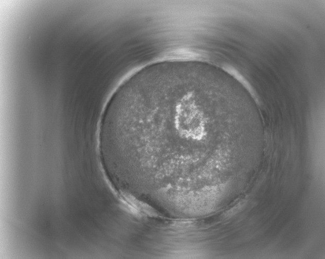 X0000068301477200605051920