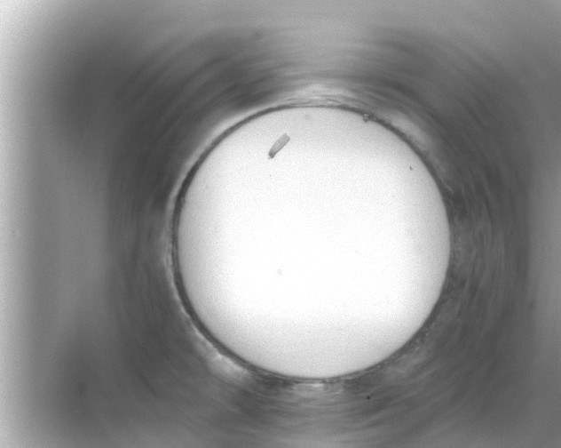 X0000068301478200605051920