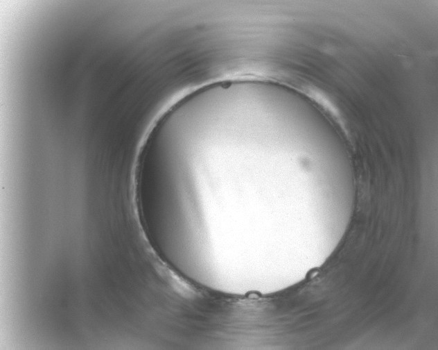 X0000068301480200605051920