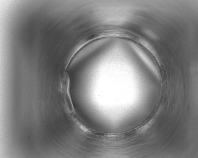 X0000068301481200605051920