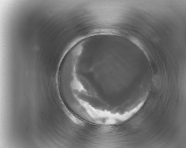 X0000068301482200605051920