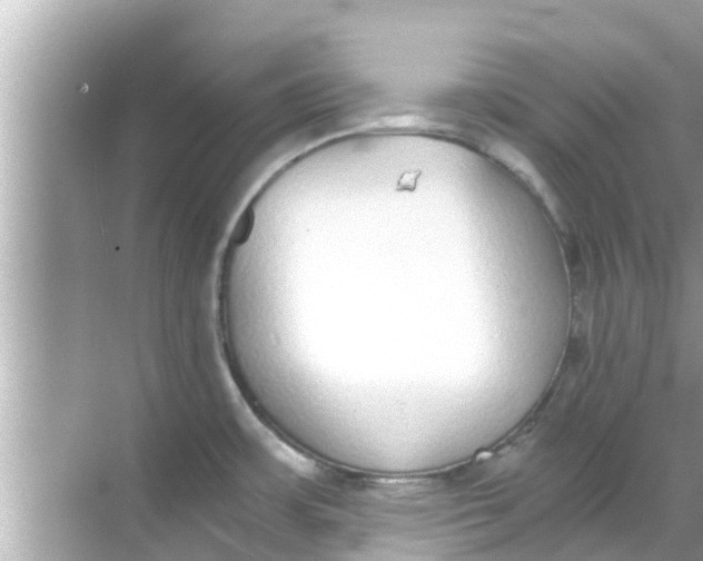 X0000068301483200605051920