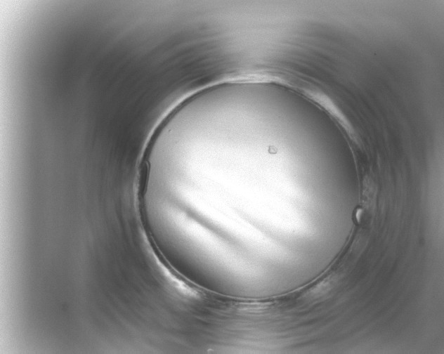 X0000068301484200605051920