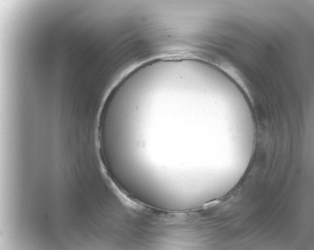 X0000068301485200605051920