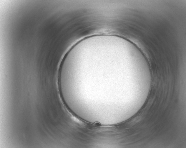 X0000068301486200605051920