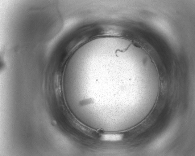 X0000068301487200605051920