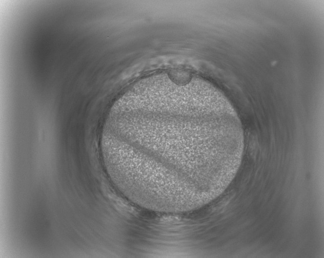 X0000068301489200605051919