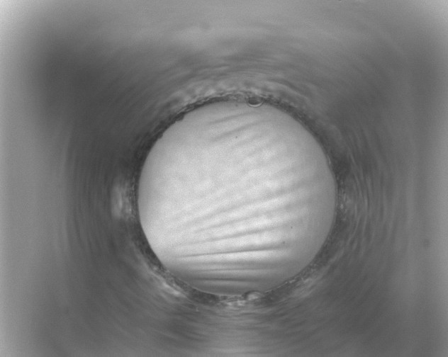 X0000068301490200605051919