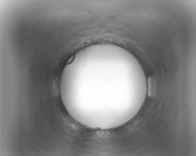 X0000068301491200605051919