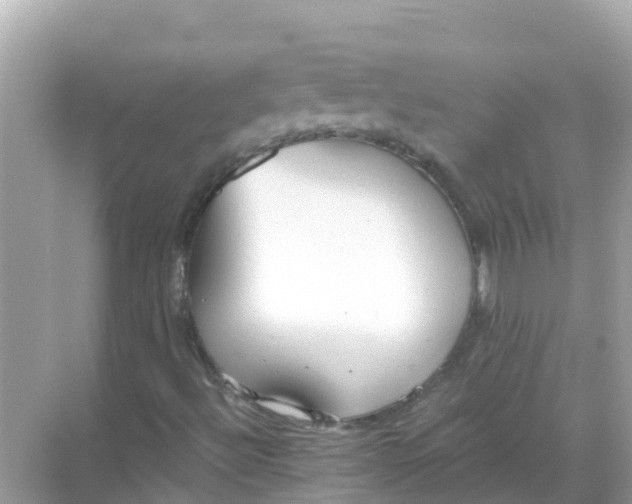 X0000068301492200605051919