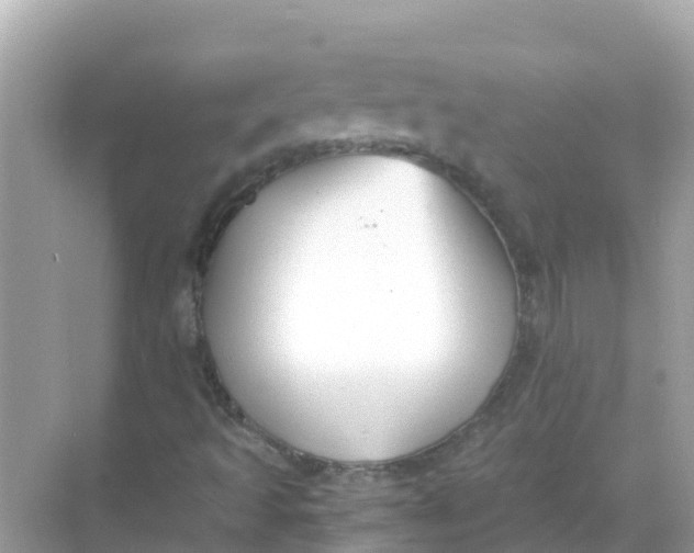 X0000068301493200605051919