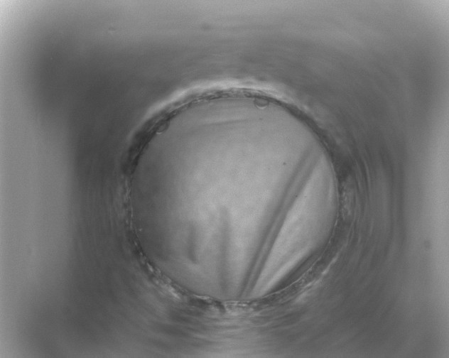 X0000068301494200605051919