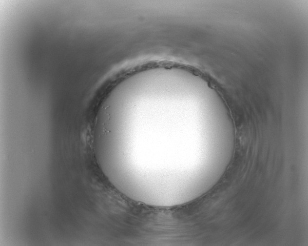 X0000068301495200605051919