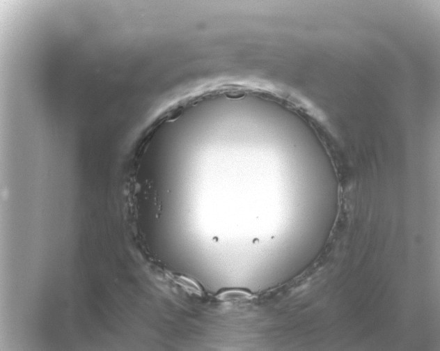 X0000068301496200605051919