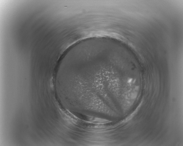 X0000068301497200605051919