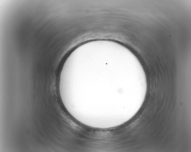 X0000068301498200605051919