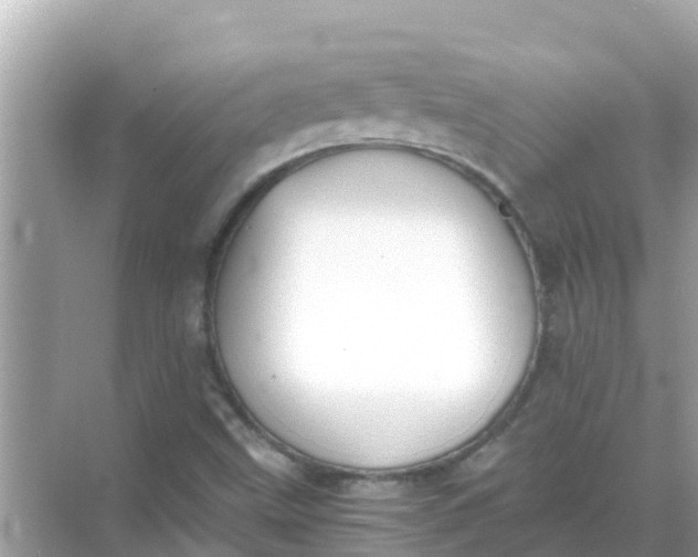 X0000068301499200605051919