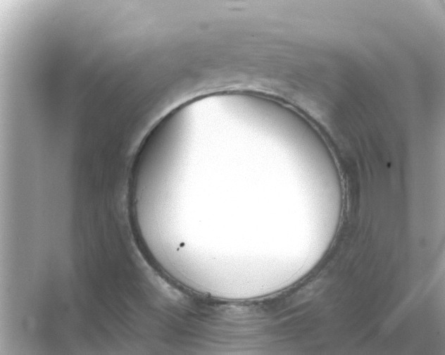 X0000068301500200605051919