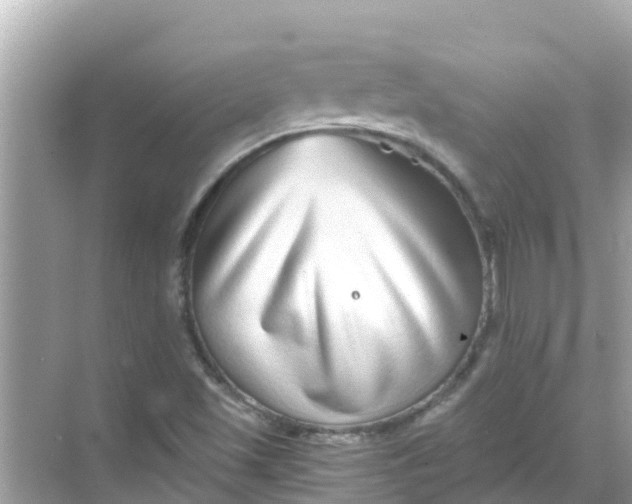 X0000068301501200605051919