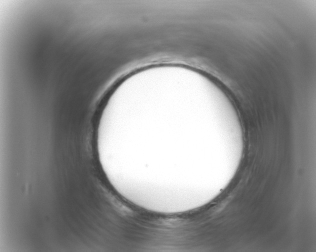 X0000068301502200605051919