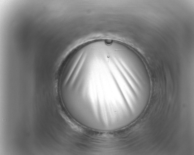 X0000068301503200605051919