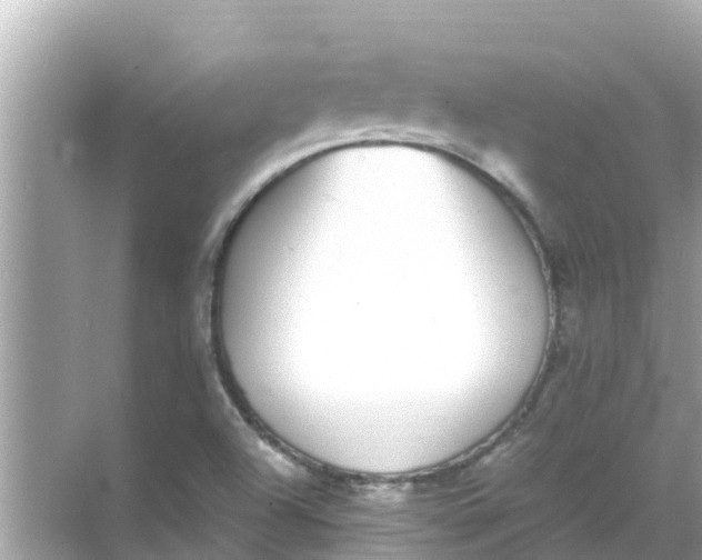 X0000068301504200605051919