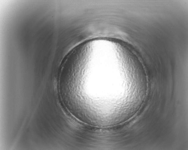 X0000068301505200605051920