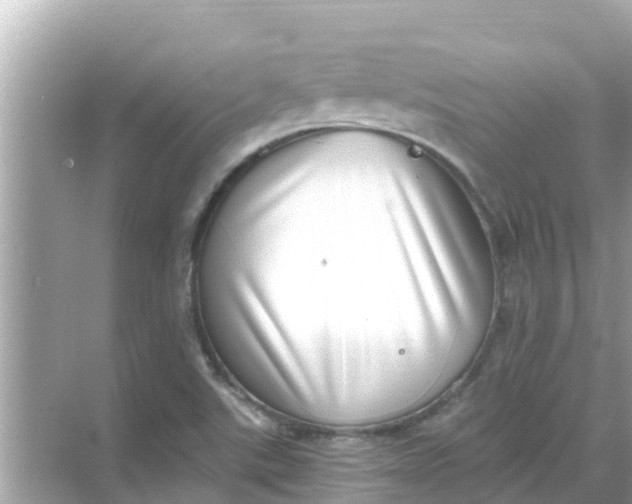 X0000068301507200605051920