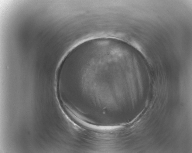 X0000068301508200605051920