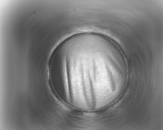 X0000068301509200605051920