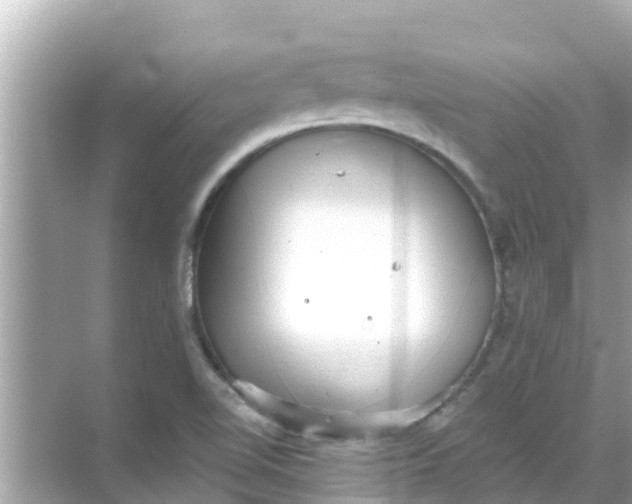 X0000068301510200605051920