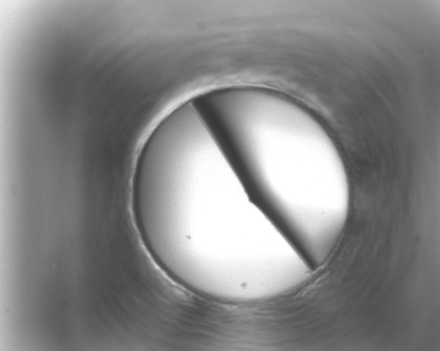 X0000068301512200605051920