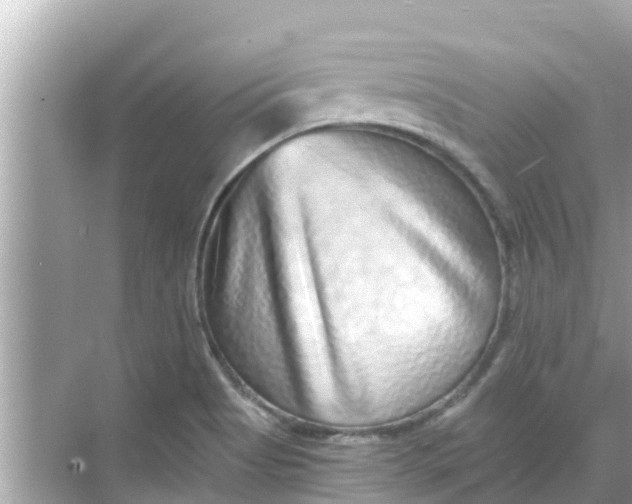 X0000068301513200605051920