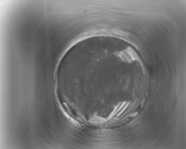 X0000068301515200605051920