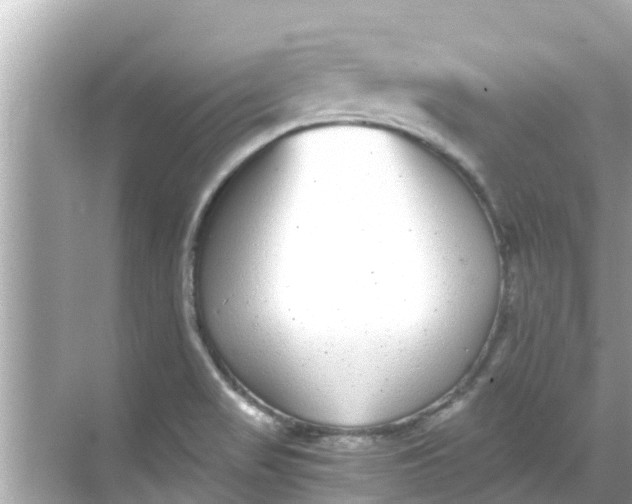 X0000068301517200605051920