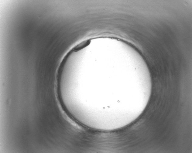 X0000068301518200605051920