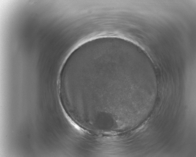 X0000068301519200605051920