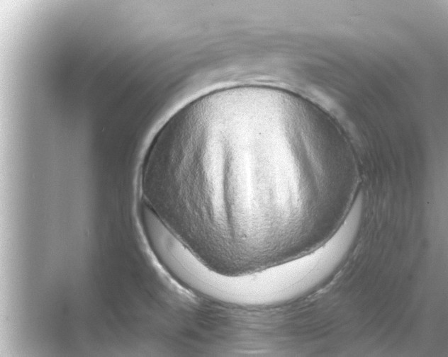 X0000068301520200605051920