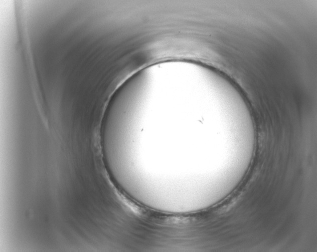 X0000068301521200605051920