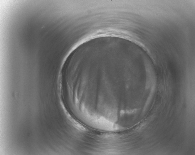 X0000068301522200605051920