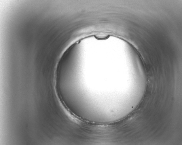 X0000068301523200605051920