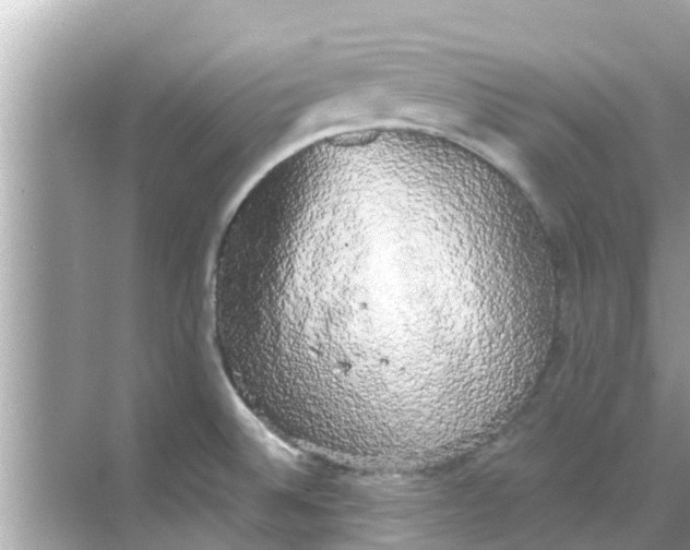 X0000068301524200605051920