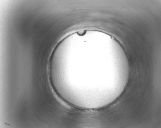 X0000068301526200605051920