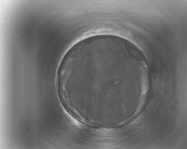 X0000068301527200605051920