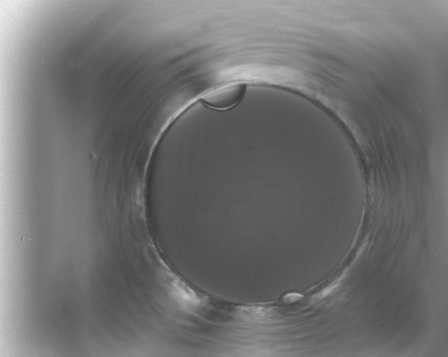 X0000068301529200605051920